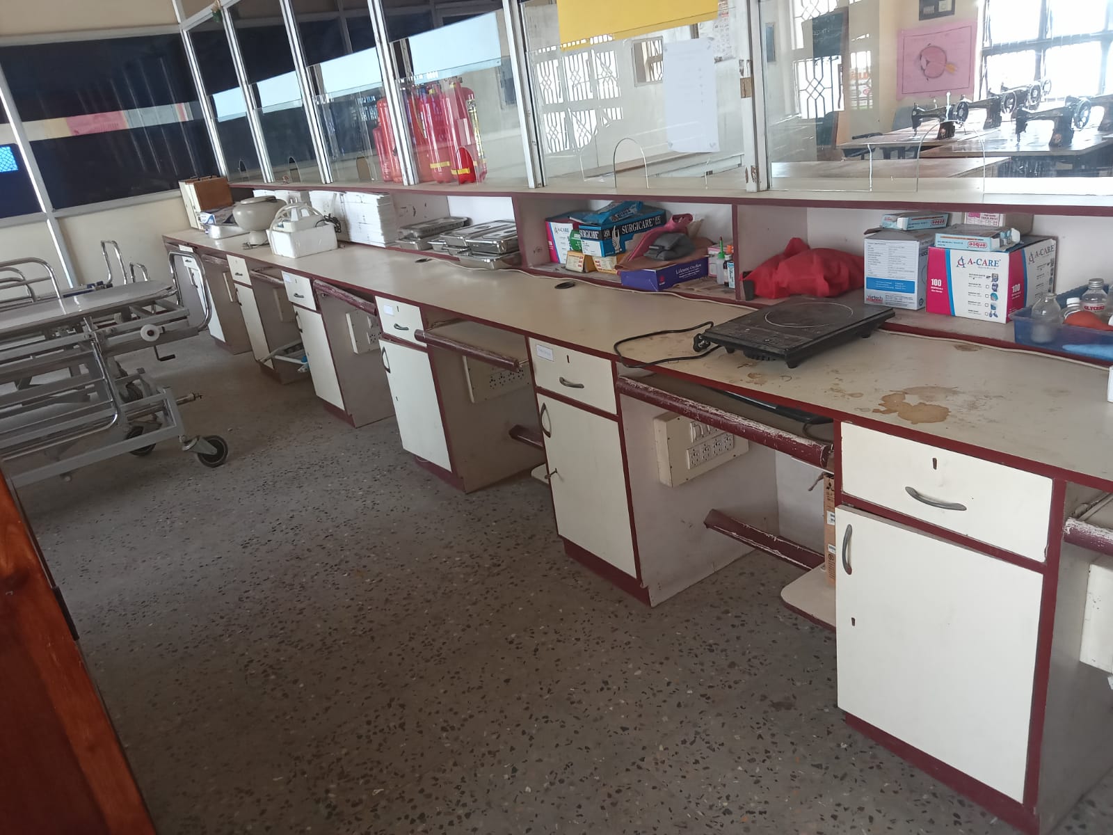lab
